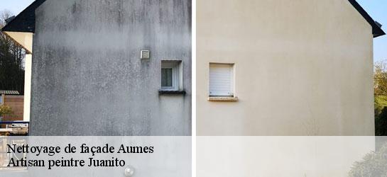 Nettoyage de façade  34530