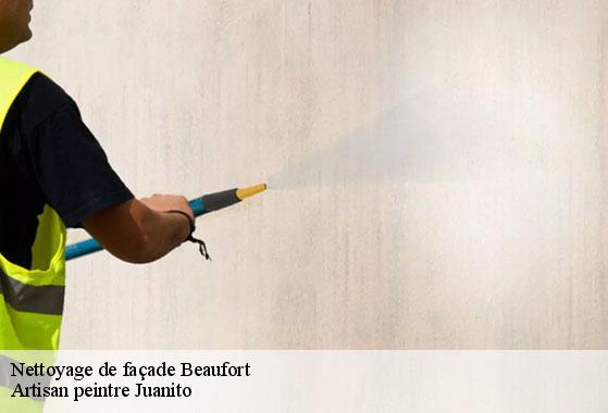 Nettoyage de façade beaufort-34210 Artisan peintre Juanito