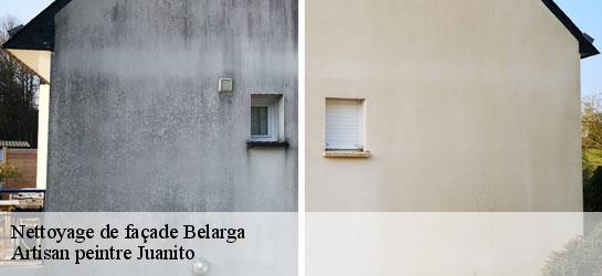 Nettoyage de façade  34230