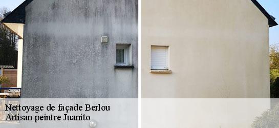 Nettoyage de façade  34360