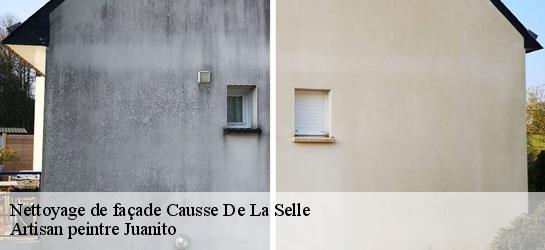 Nettoyage de façade  34380