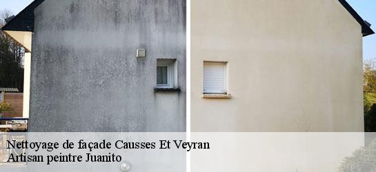 Nettoyage de façade  34490