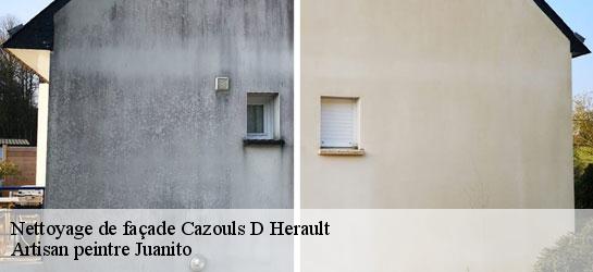 Nettoyage de façade  34120