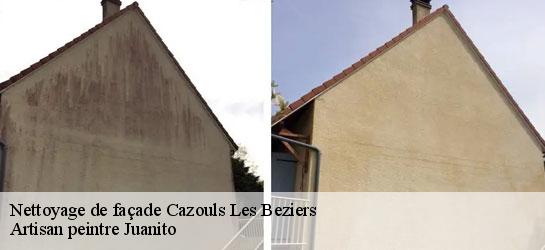 Nettoyage de façade 34370