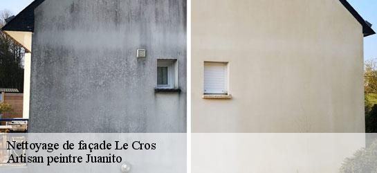 Nettoyage de façade 34520