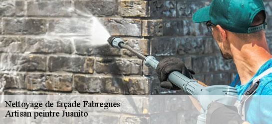 Nettoyage de façade  34690