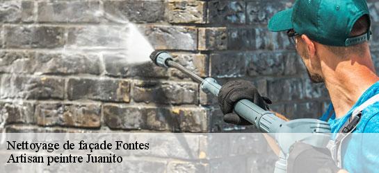 Nettoyage de façade 34320