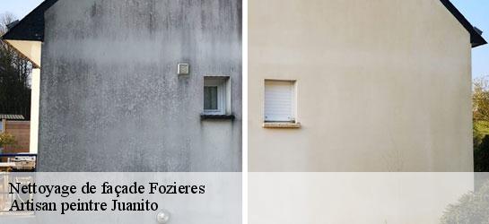 Nettoyage de façade  34700