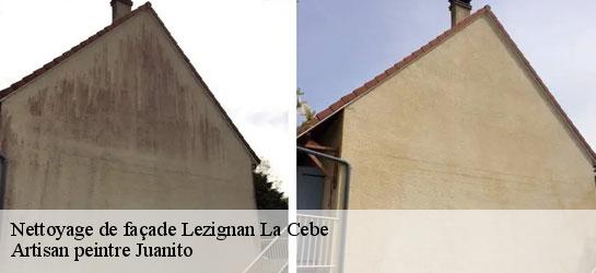 Nettoyage de façade  34120