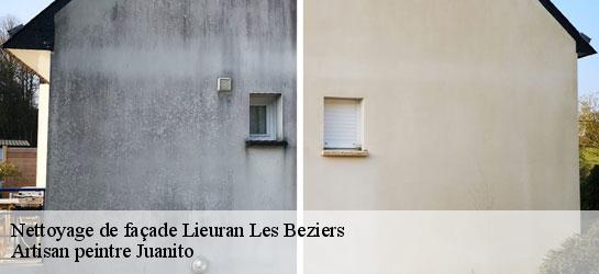 Nettoyage de façade  34290