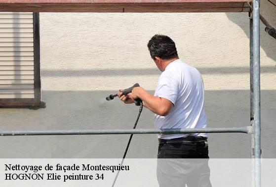 Nettoyage de façade  montesquieu-34320 HOGNON Elie peinture 34
