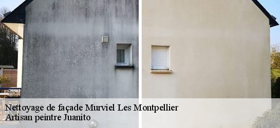 Nettoyage de façade 34570