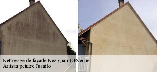 Nettoyage de façade 34120