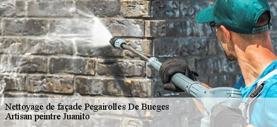 Nettoyage de façade  34380