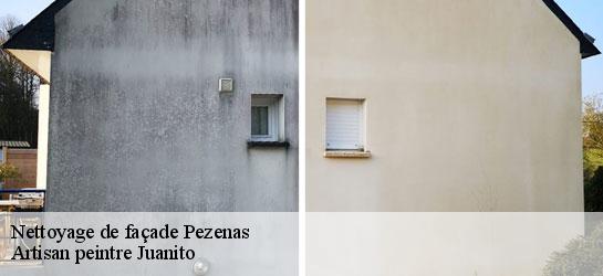 Nettoyage de façade  34120