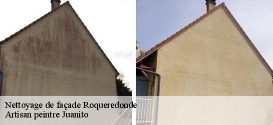 Nettoyage de façade 34650