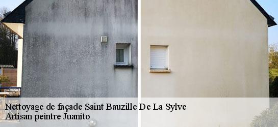 Nettoyage de façade  34230