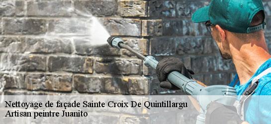 Nettoyage de façade  34270