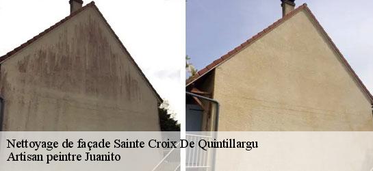 Nettoyage de façade  34270