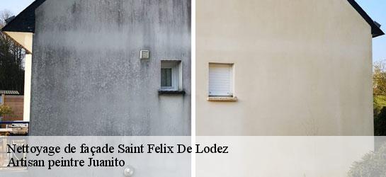 Nettoyage de façade  34725