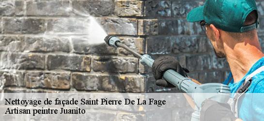 Nettoyage de façade  34520