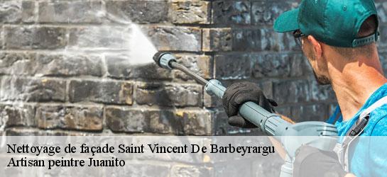 Nettoyage de façade  34730