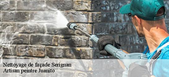 Nettoyage de façade 34410