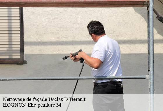 Nettoyage de façade  usclas-d-herault-34230 HOGNON Elie peinture 34