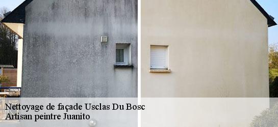 Nettoyage de façade  34700