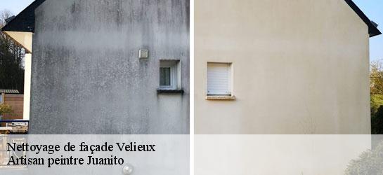 Nettoyage de façade 34220