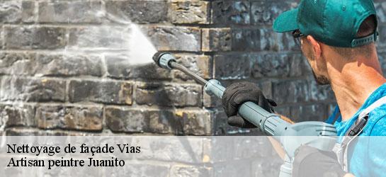 Nettoyage de façade  34450