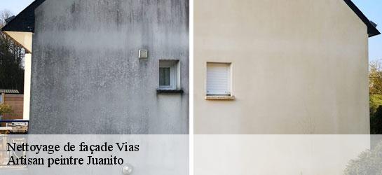 Nettoyage de façade  34450