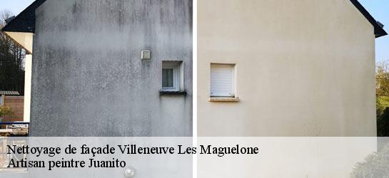 Nettoyage de façade 34750