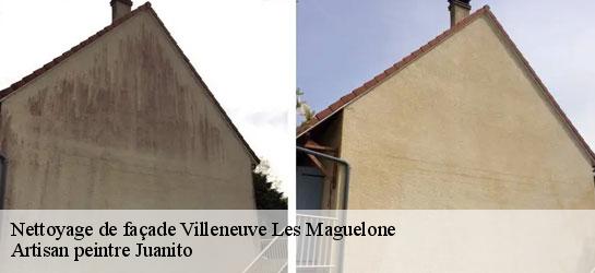 Nettoyage de façade 34750