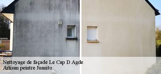 Nettoyage de façade 34300