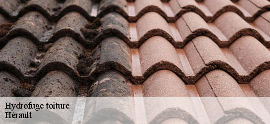 Hydrofuge toiture Hérault