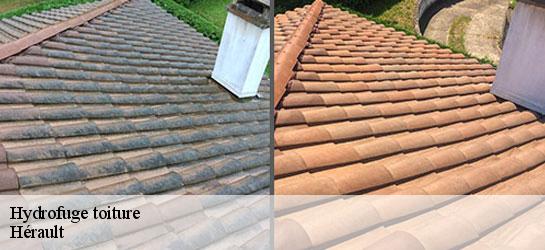 Hydrofuge toiture Hérault