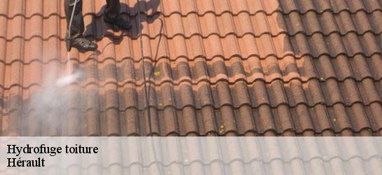 Hydrofuge toiture Hérault