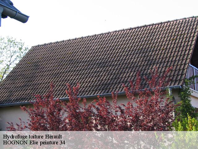 Hydrofuge toiture Hérault 