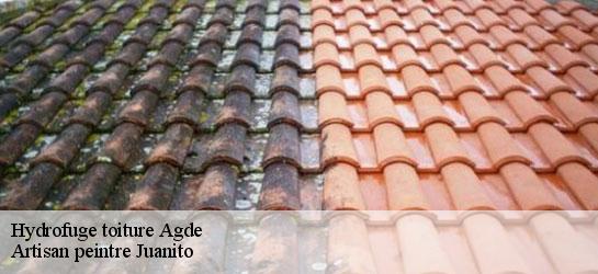 Hydrofuge toiture 34300