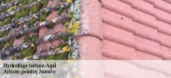 Hydrofuge toiture  34210