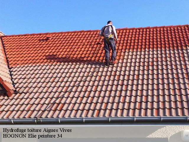 Hydrofuge toiture  aigues-vives-34210 HOGNON Elie peinture 34