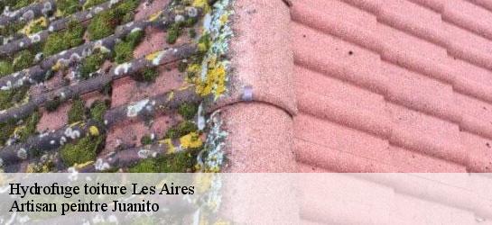 Hydrofuge toiture  34600