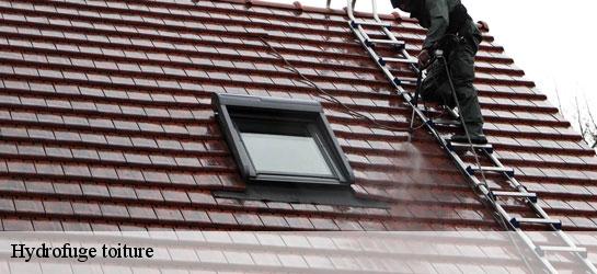 Hydrofuge toiture 34820