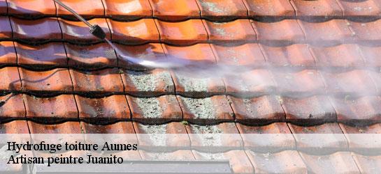 Hydrofuge toiture 34530