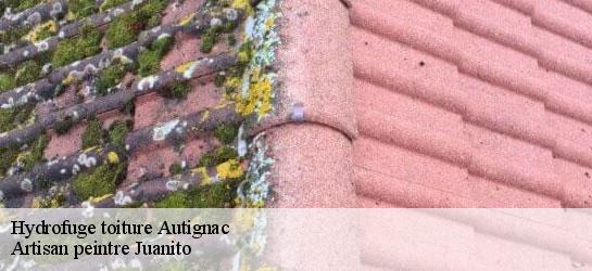 Hydrofuge toiture  34480