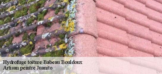 Hydrofuge toiture  34360