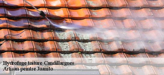 Hydrofuge toiture  34130