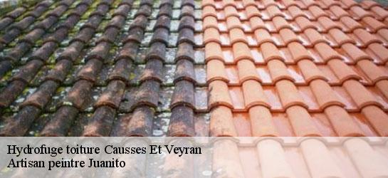 Hydrofuge toiture 34490