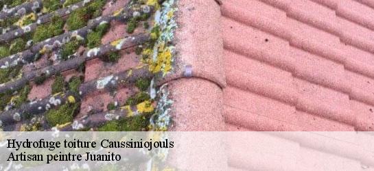 Hydrofuge toiture  34600